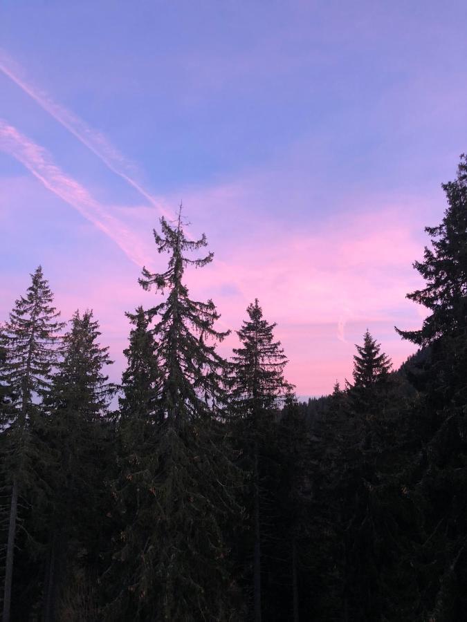 Luxury Aparthotel Studenets Pamporovo Bagian luar foto